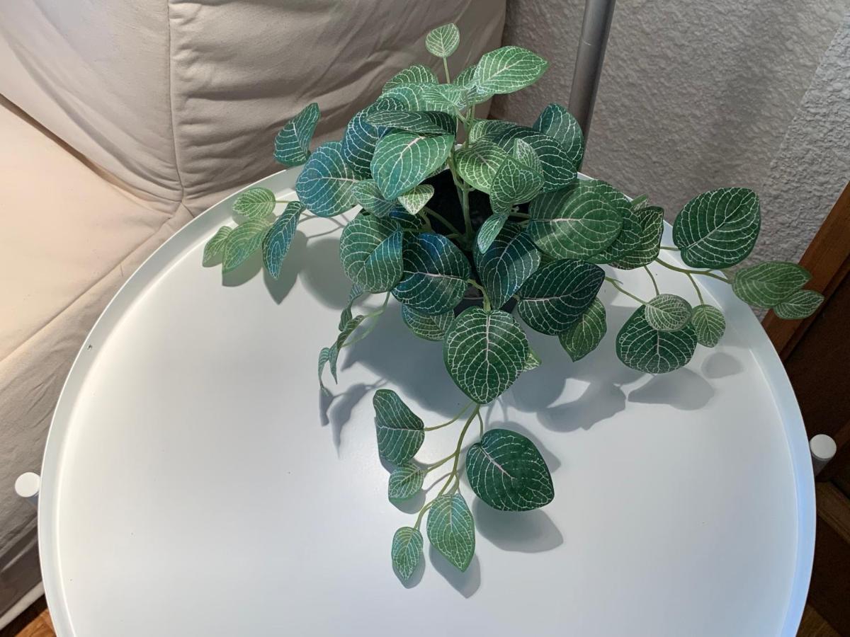דירות Precioso Piso Recien Reformado En סרגוסה מראה חיצוני תמונה